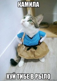 камила хуй тибе в рыло