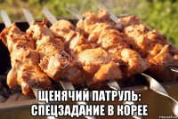  щенячий патруль: спецзадание в корее