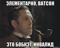 элементарно, ватсон это бобкэт-инвалид