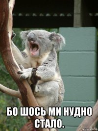  бо шось ми нудно стало.