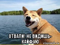  отвали! не видишь- кайфую