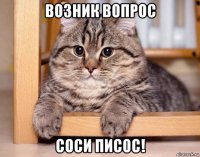 возник вопрос соси писос!