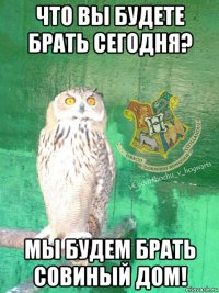 что вы будете брать сегодня? мы будем брать совиный дом!
