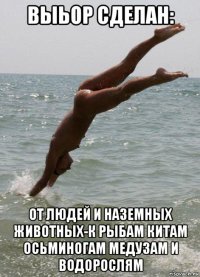 выьор сделан: от людей и наземных животных-к рыбам китам осьминогам медузам и водорослям