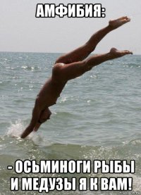 амфибия: - осьминоги рыбы и медузы я к вам!