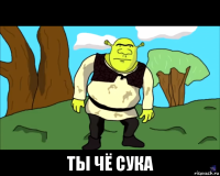  ты чё сука