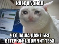 когда узнал что паша даже без ветерка не домчит тебя