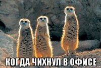  когда чихнул в офисе