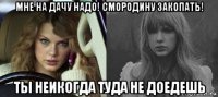 мне на дачу надо! смородину закопать! ты неикогда туда не доедешь