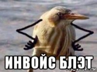  инвойс блэт