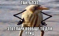 так, блэт этот парк вообще-то для птиц
