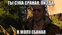ты сука сраная, пизда, в жопу ебаная