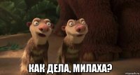  как дела, милаха?