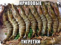 кривовые тигретки