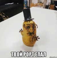  твой рорт епал