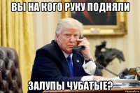 вы на кого руку подняли залупы чубатые?