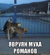  явруян муха романов