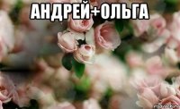 андрей+ольга 