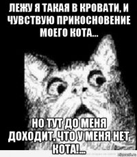 лежу я такая в кровати, и чувствую прикосновение моего кота... но тут до меня доходит, что у меня нет кота!...