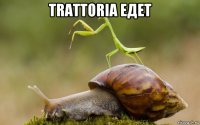 trattoria едет 