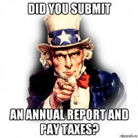 did you submit an annual report and pay taxes?