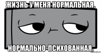 жизнь у меня нормальная. нормально-психованная.