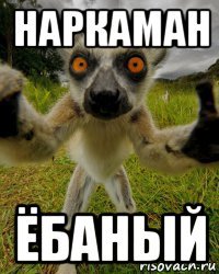 наркаман ёбаный