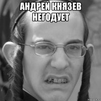 андрей князев негодует 