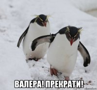  валера! прекрати!