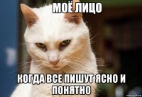  когда все пишут ясно и понятно