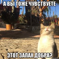 а вы тоже чувствуете этот запах добра?
