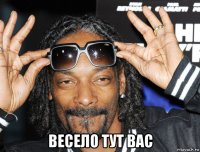  весело тут вас