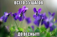 всего 35 шагов до весны!!!