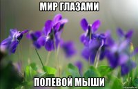 мир глазами полевой мыши