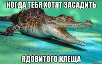 когда тебя хотят засадить ядовитого клеща