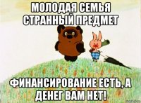 молодая семья странный предмет финансирование есть, а денег вам нет!
