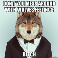 don't you mess around with wolves feelings bitch