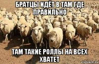братцы идёт в там где правильно там такие роллы на всех хватет