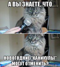 а вы знаете, что новогодние "каникулы" могут отменить?