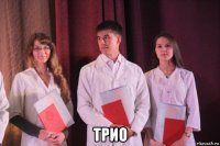  трио