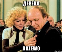 дерево drzewo