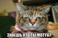  знаешь кто ты motyu?