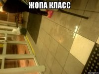 жопа класс 