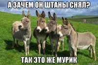 а зачем он штаны снял? так это же мурик