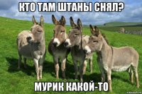 кто там штаны снял? мурик какой-то
