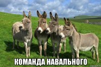  команда навального