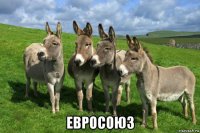  евросоюз