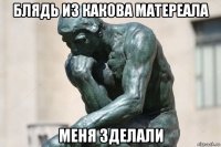 блядь из какова матереала меня зделали