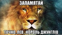 запамятай точно, лев , король джунглів