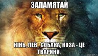 запамятай кінь, лев , собака, коза - це тварини.
